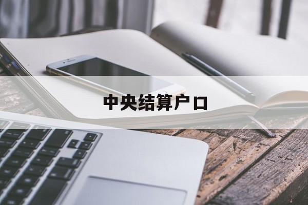 中央结算户口(中央结算中心是什么)