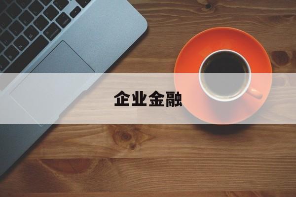 企业金融(企业金融债务负担计算公式)