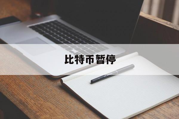 比特币暂停(比特币停盘了吗)